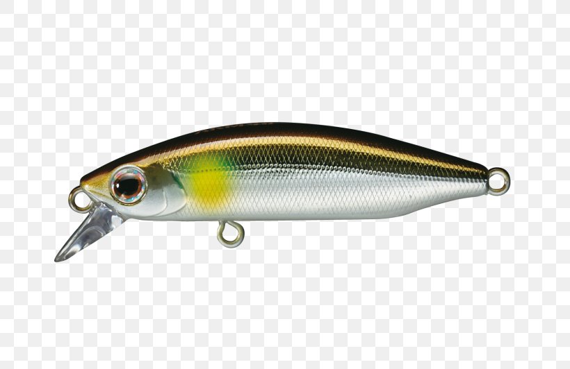 Spoon Lure Perch Osmeriformes Fish AC Power Plugs And Sockets, PNG, 800x532px, Spoon Lure, Ac Power Plugs And Sockets, Bait, Bony Fish, Fish Download Free