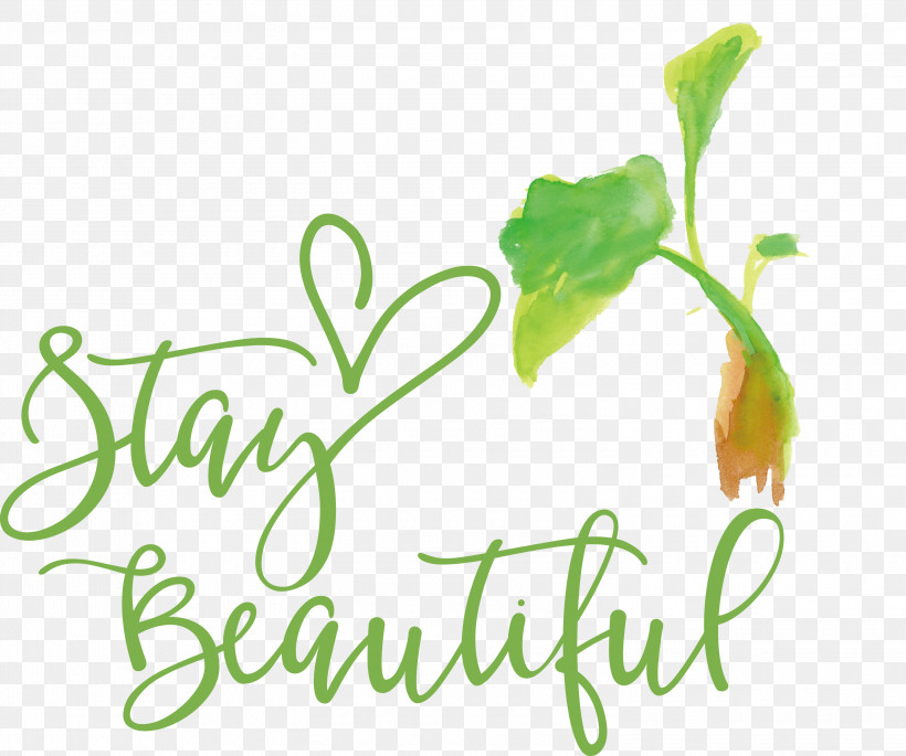 Stay Beautiful Fashion, PNG, 3000x2508px, Stay Beautiful, Beauty, Cricut, Fashion, Typography Download Free