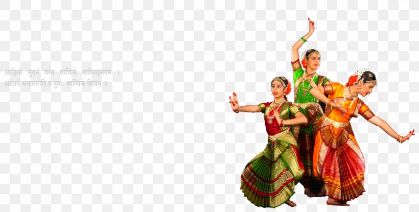 Dance Dresses, Skirts & Costumes Costume Designer Bharatanatyam, PNG, 980x496px, Dance, Bharatanatyam, Costume, Costume Designer, Dance Dresses Skirts Costumes Download Free