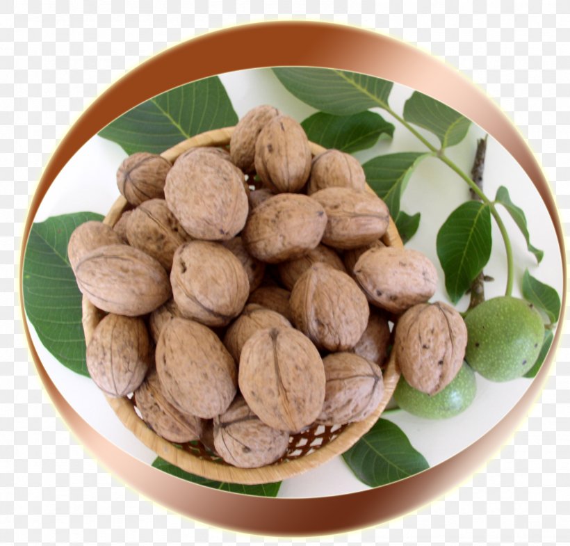English Walnut Nucule Vegetarian Cuisine, PNG, 1587x1521px, Nut, Commodity, Cultivar, English Walnut, Food Download Free