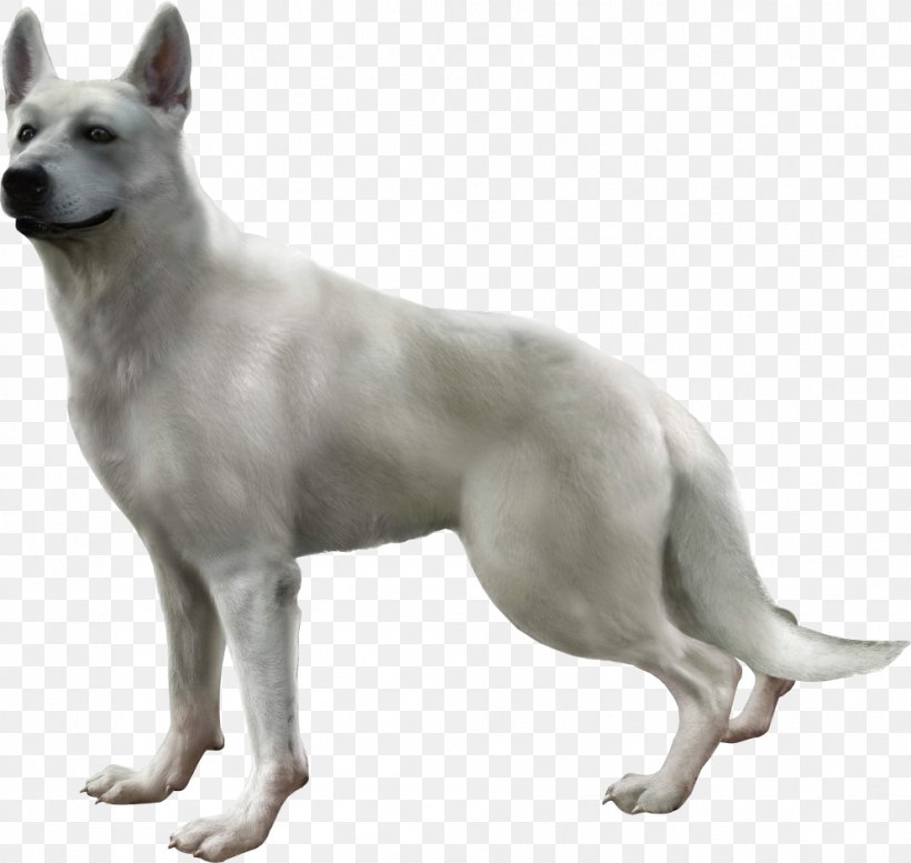 Haunting Ground Resident Evil 4 PlayStation 2 Resident Evil Survivor PlayStation 4, PNG, 994x943px, Haunting Ground, Ancient Dog Breeds, Berger Blanc Suisse, Canaan Dog, Canadian Eskimo Dog Download Free