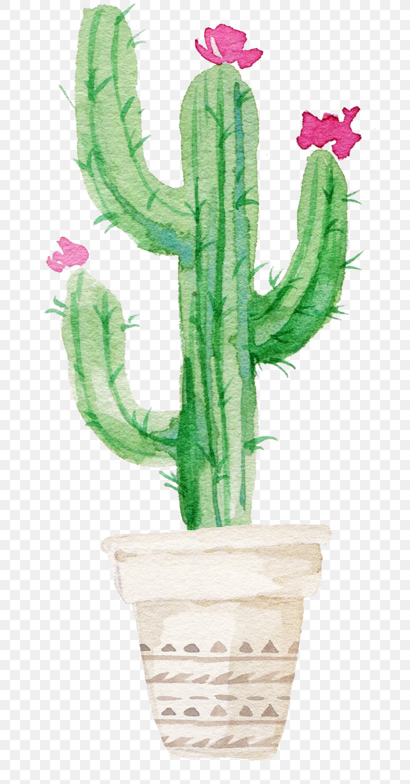 Cactaceae Succulent Plant Watercolor Painting Printmaking, PNG, 700x1568px, Cactaceae, Art, Cactus, Canvas, Caryophyllales Download Free