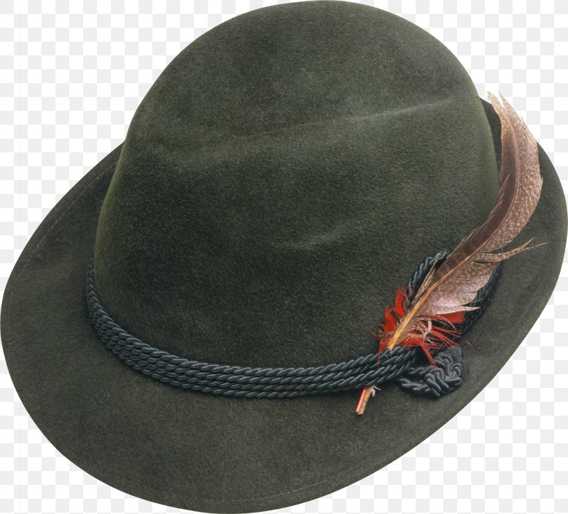 Campaign Hat Fedora Stock Photography Slouch Hat, PNG, 2868x2597px, Campaign Hat, Alamy, Cap, Clothing, Feather Download Free