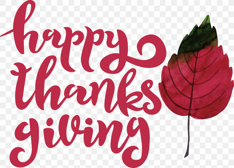 Happy Thanksgiving, PNG, 3000x2156px, Happy Thanksgiving, Biology, Flower, Fruit, Logo Download Free