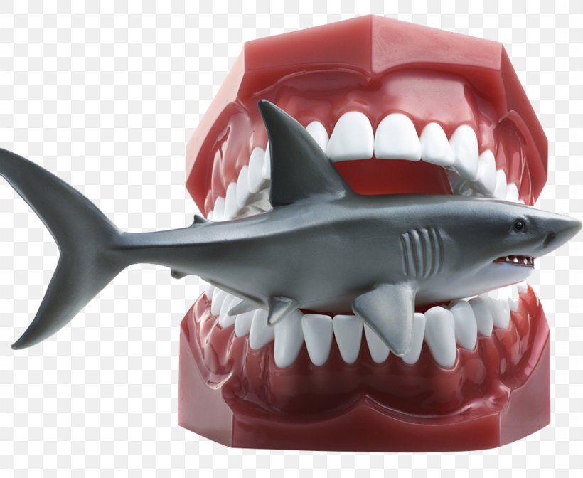 Shark Getty Images Stock Photography Download, PNG, 1076x882px, Shark, Cartilaginous Fish, Dentures, Fish, Getty Images Download Free