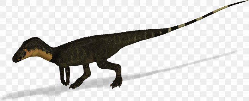 Velociraptor Poposaurus Tyrannosaurus Triassic Dinosaur, PNG, 5145x2098px, Velociraptor, Animal, Animal Figure, Beak, Bipedalism Download Free