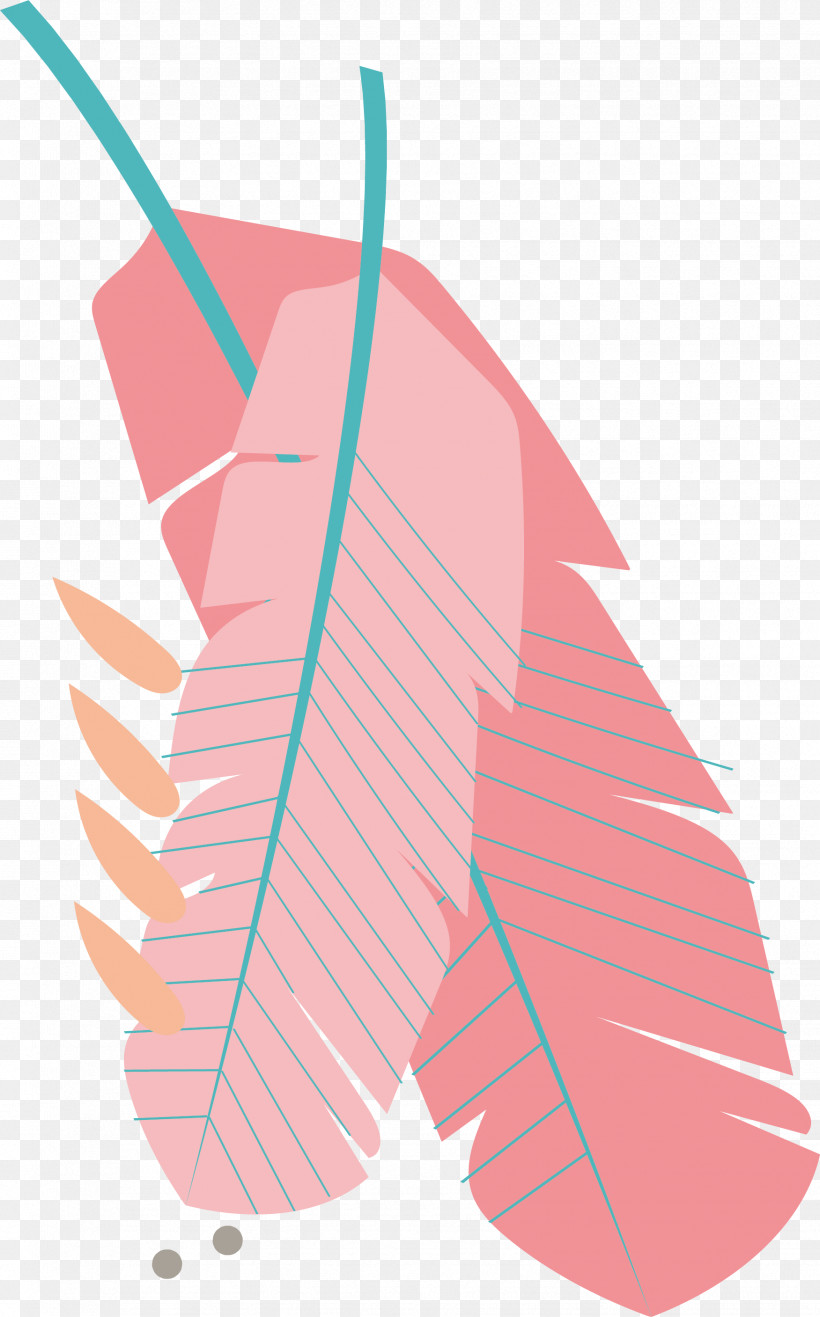 Angle Leaf Line Pink M Font, PNG, 1751x2814px, Angle, Biology, Hm, Leaf, Line Download Free