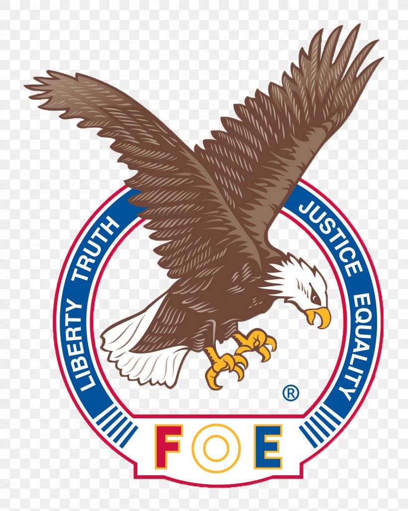 Fraternal Order Of Eagles Stillwater Detroit Lakes The Fraternal Order Of Eagle, PNG, 1200x1500px, Fraternal Order Of Eagles, Accipitriformes, Bald Eagle, Beak, Bird Download Free