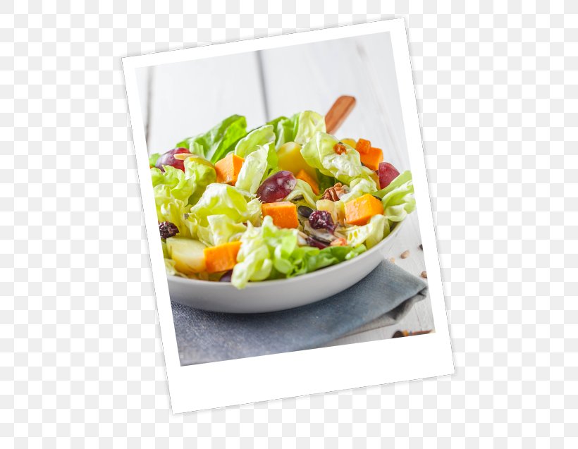 Greek Salad Caesar Salad Waldorf Salad Vegetarian Cuisine Recipe, PNG, 555x637px, Greek Salad, Butterhead Lettuce, Caesar Salad, Corn Salad, Cuisine Download Free