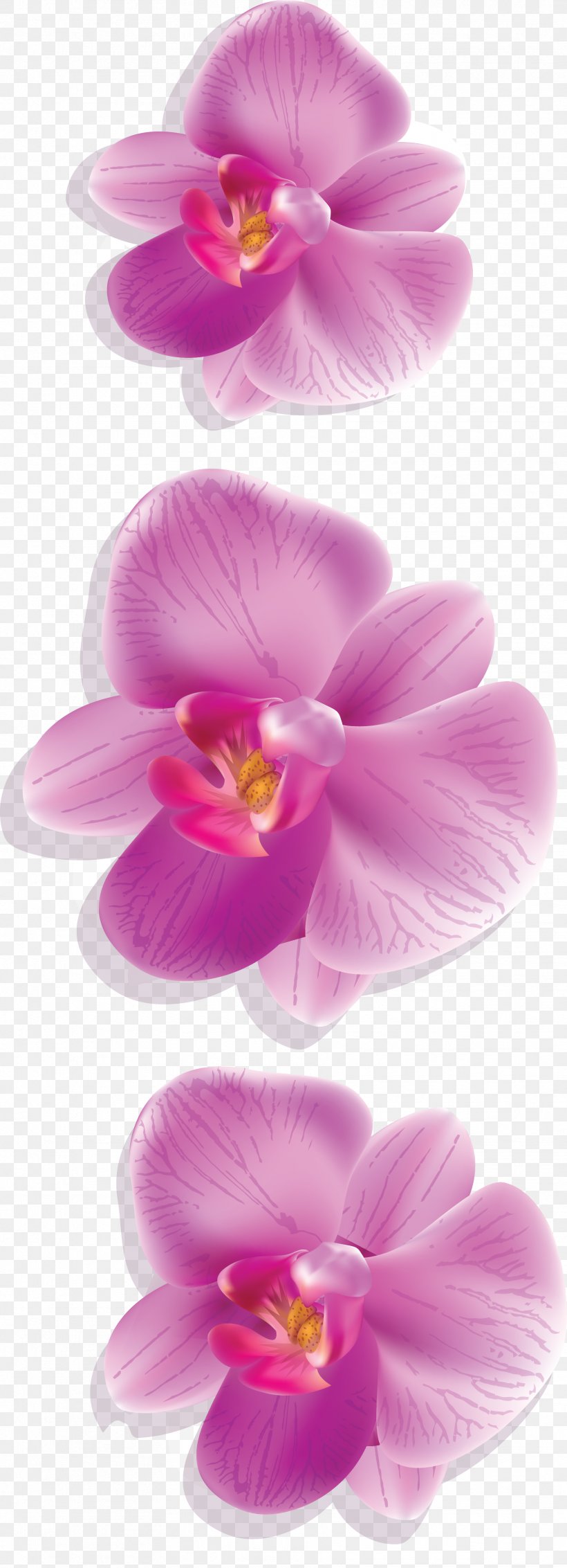 Moth Orchids Decoupage Clip Art, PNG, 1766x4880px, Moth Orchids, Decoupage, Flower, Flowering Plant, Lilac Download Free