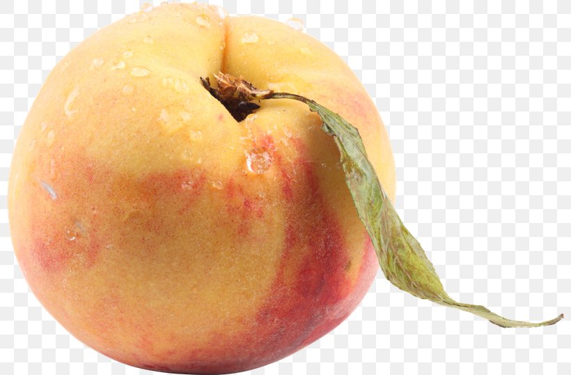 Peach Apricot Clip Art, PNG, 800x538px, Peach, Apple, Apricot, Food, Fruit Download Free