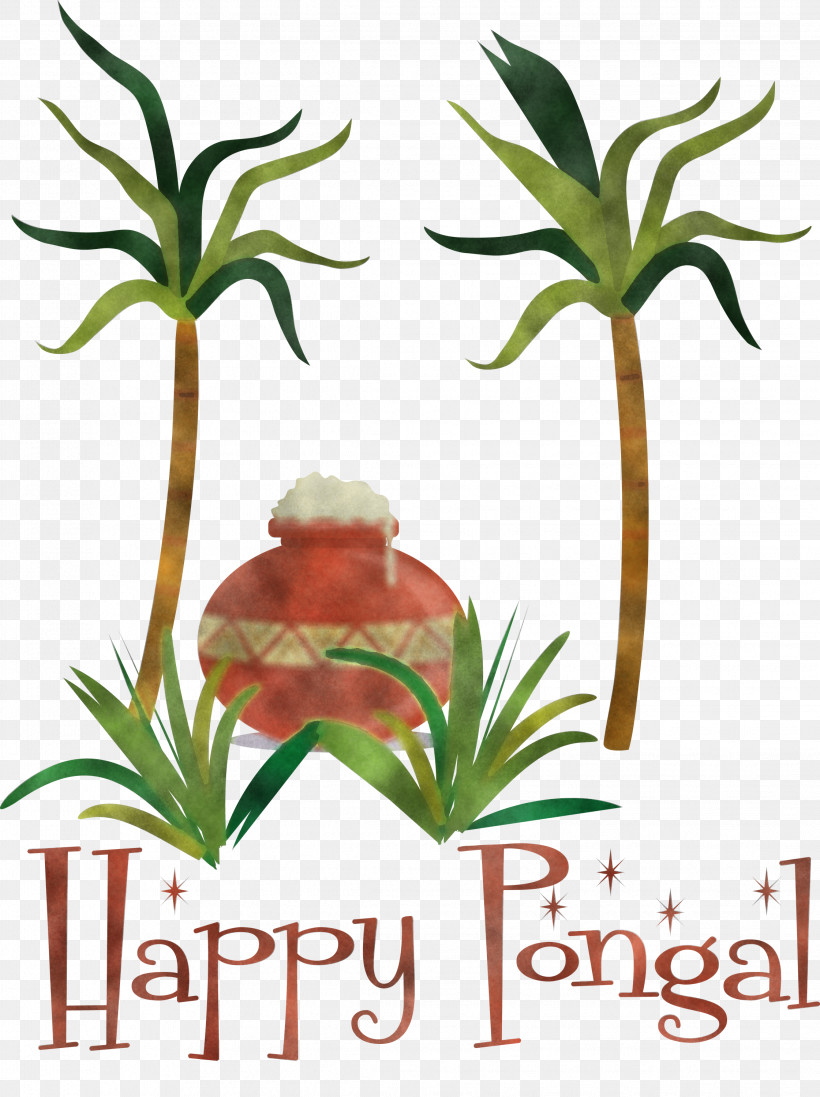 Pongal Thai Pongal Harvest Festival, PNG, 2241x3000px, Pongal, Drawing, Flower, Flowerpot, Harvest Festival Download Free