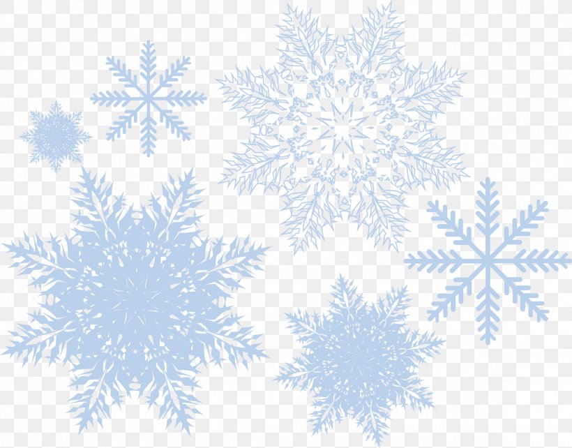 Snowflake Pattern, PNG, 2316x1816px, Snowflake, Blue, Point, Symmetry Download Free