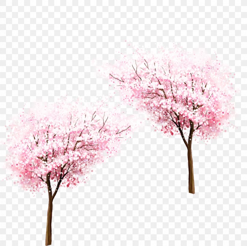 Cherry Blossom Laptop MacBook Air Spring, PNG, 1181x1181px, Cherry Blossom, Blossom, Branch, Cerasus, Cherry Download Free