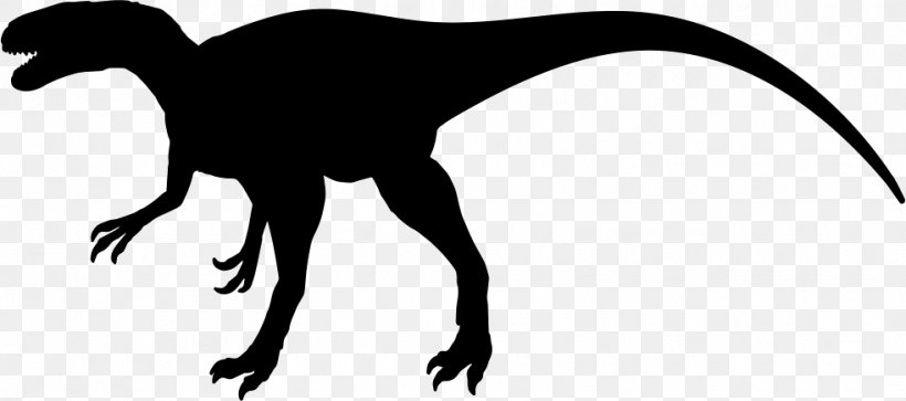 Megalosaurus Velociraptor Tyrannosaurus Allosaurus Worm, PNG, 983x436px, Megalosaurus, Allosaurus, Animal, Animal Silhouettes, Archaeopteryx Download Free