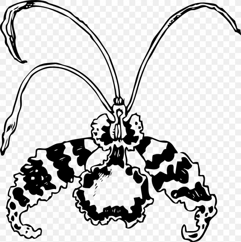 Moth Orchids Flower Clip Art, PNG, 997x1000px, Orchids, Arthropod, Artwork, Black And White, Body Jewelry Download Free
