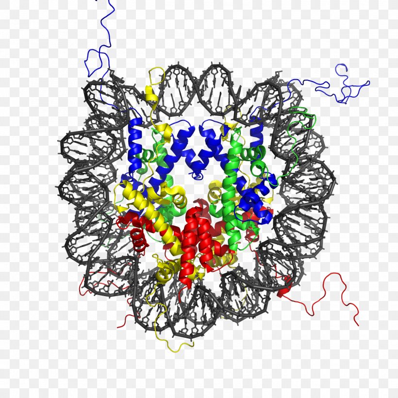 Nucleosome Histone Octamer Chromatin Structure, PNG, 1620x1620px, Nucleosome, Acetylation, Art, Cell Nucleus, Chromatin Download Free