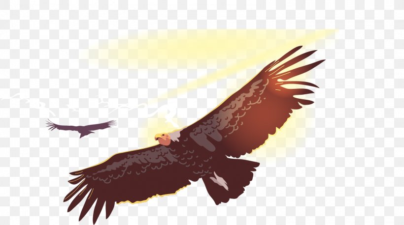 Bird Flight Owl Condor, PNG, 1584x886px, Flight, Accipitriformes, Andean Condor, Art, Bald Eagle Download Free