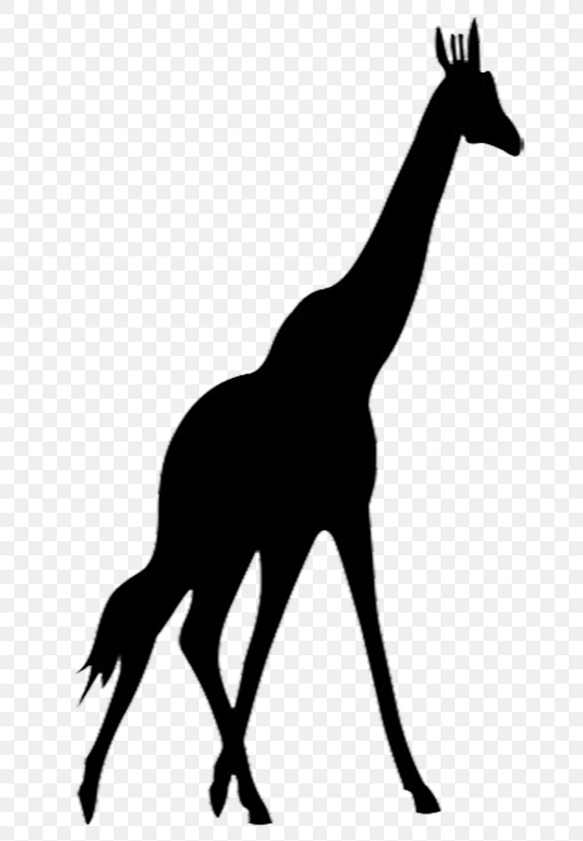 Giraffe Animal Silhouettes Clip Art Vector Graphics, PNG, 664x1181px, Giraffe, Animal Silhouettes, Black And White, Drawing, Fauna Download Free