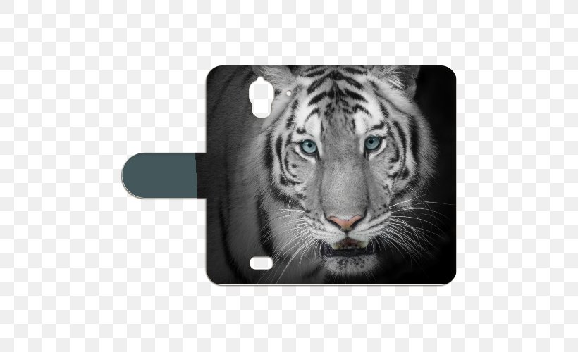 Bengal Tiger Video Stock Photography White Tiger, PNG, 500x500px, Bengal Tiger, Big Cats, Carnivoran, Cat Like Mammal, Fur Download Free
