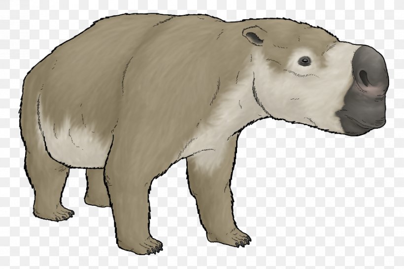 Diprotodontia Polar Bear Wombat Metatheria, PNG, 900x600px, Diprotodon, Animal, Animal Figure, Art, Bear Download Free