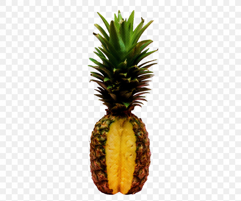 Pineapple, PNG, 1200x1000px, Editing, Discover Card, Discover Financial Services, Fruit, Highdefinition Television Download Free