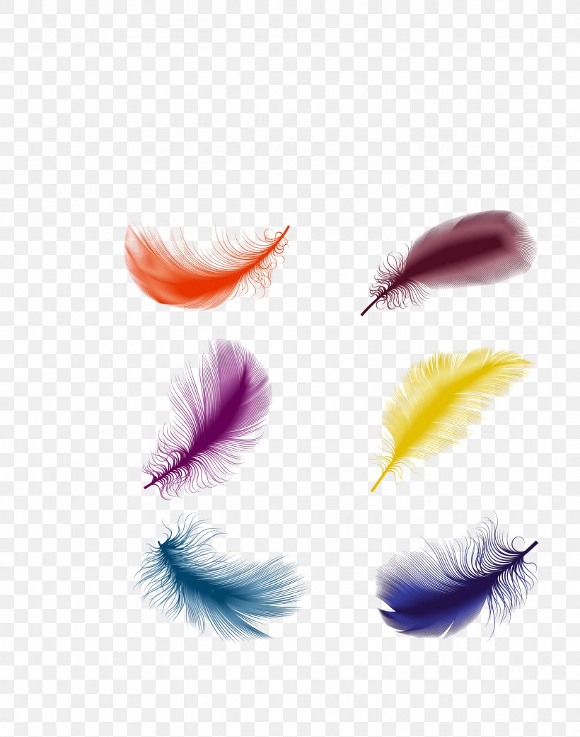 The Floating Feather, PNG, 2463x3128px, Floating Feather, Close Up, Drawing, Eyelash, Feather Download Free