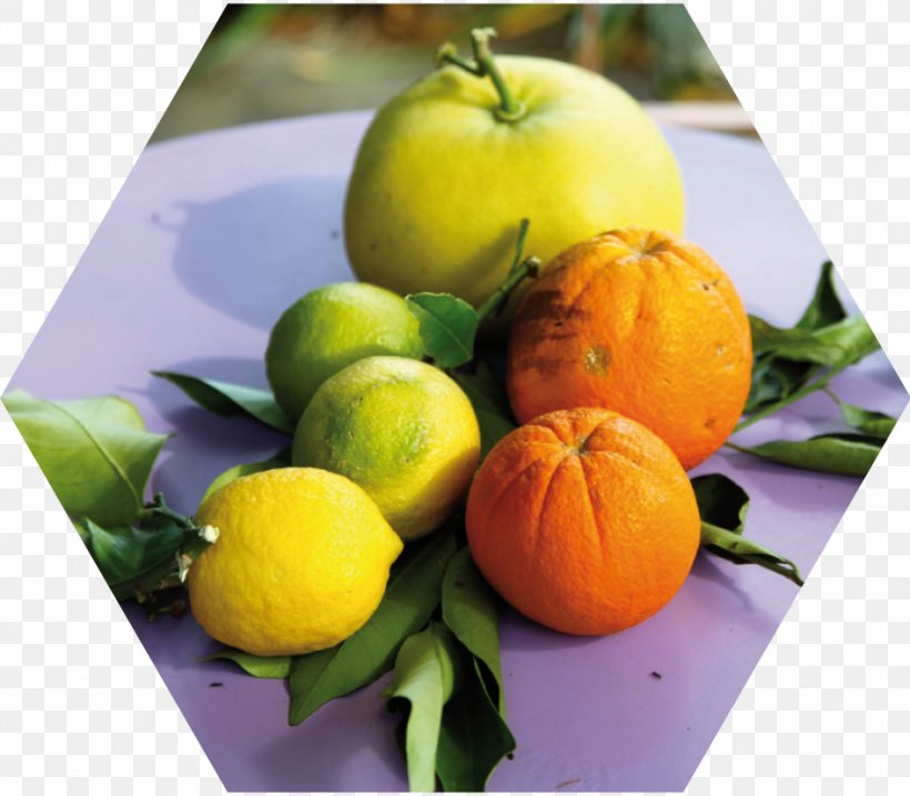 Clementine Tangerine Mandarin Orange Bitter Orange Citrus Junos, PNG, 945x827px, Clementine, Bitter Orange, Citrus, Citrus Junos, Diet Download Free