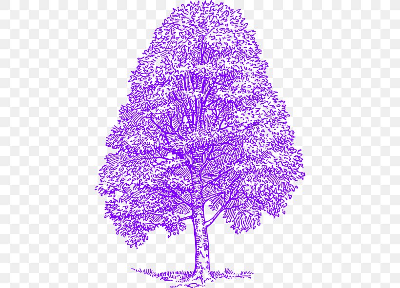 Clip Art Tree Vector Graphics Drawing Cedrus Libani, PNG, 432x591px, Watercolor, Cartoon, Flower, Frame, Heart Download Free