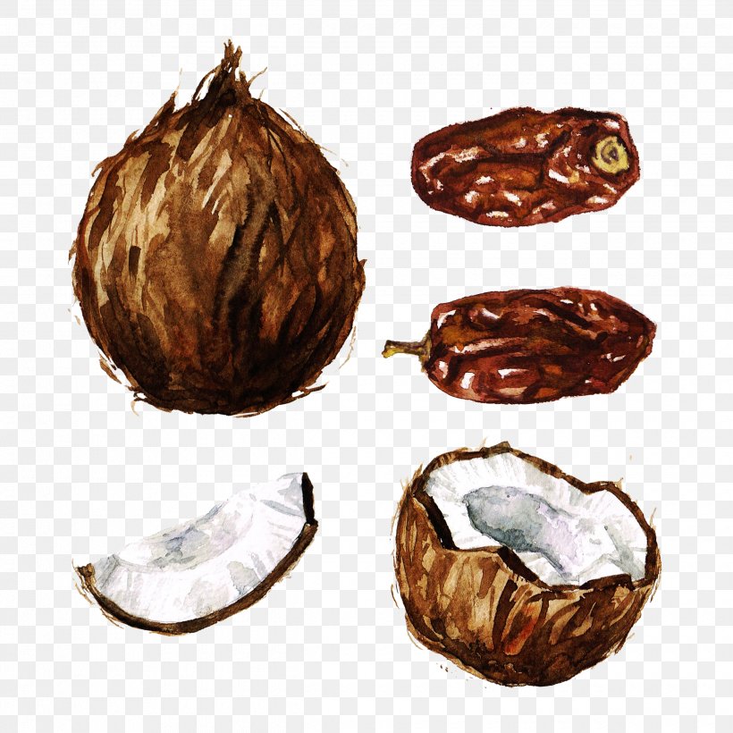 Coconut Watercolor Painting Clip Art, PNG, 2480x2480px, Coconut, Depositphotos, Food, Fruit, Ingredient Download Free