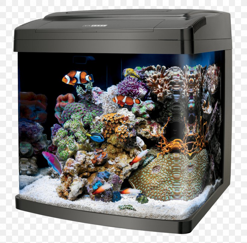 Coralife LED Bio Cube 32 Reef Aquarium Coralife Biocube Size 14 Bio Cube Stand 29/32, PNG, 1200x1178px, Aquarium, Aquarium Decor, Aquarium Filters, Aquarium Lighting, Aquascaping Download Free