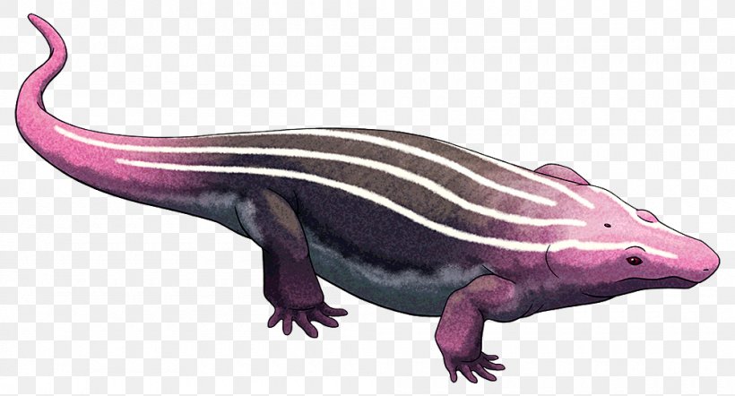 Lepospondyli Temnospondyli Salamander Platyhystrix Animal, PNG, 1000x540px, Lepospondyli, Amniote, Amphibian, Animal, Animal Figure Download Free