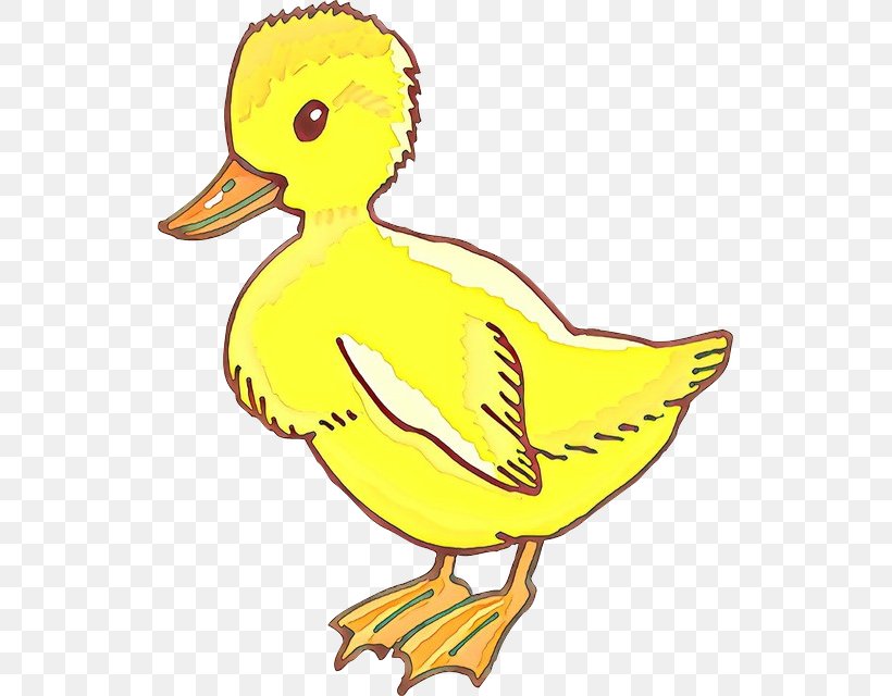 Bird Duck Ducks, Geese And Swans Water Bird Beak, PNG, 529x640px, Cartoon, American Black Duck, Beak, Bird, Duck Download Free
