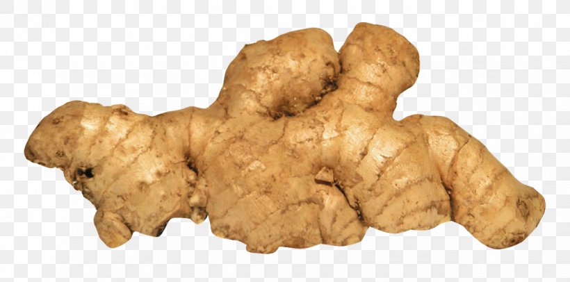 Ginger Spice Food, PNG, 1274x632px, Ginger, Food, Ginger Extract, Gingerol, Ingredient Download Free