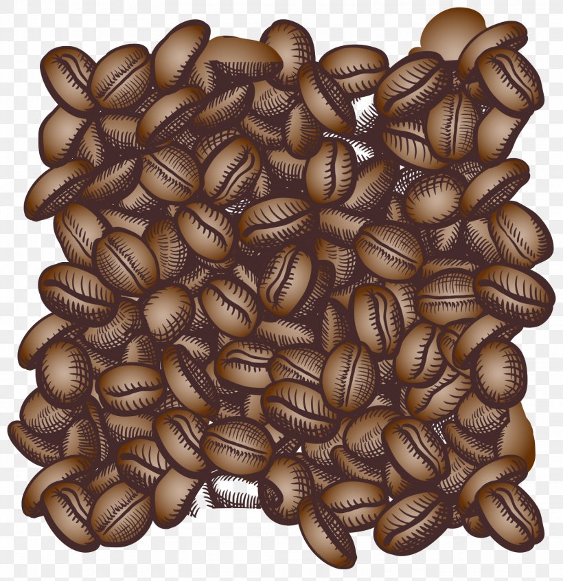 Coffee Bean Espresso Cappuccino Cafe, PNG, 1540x1588px, Coffee, Arabica Coffee, Bean, Cafe, Caffxe8 Mocha Download Free