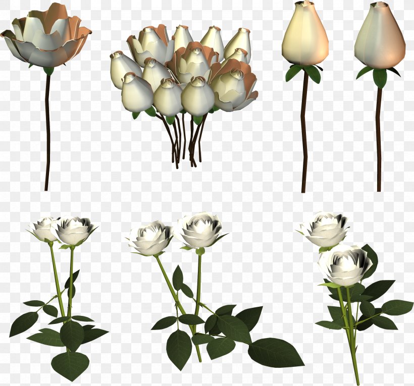 Cut Flowers Lilium Garden Roses Bud, PNG, 2360x2202px, Flower, Bud, Cut Flowers, Drawing, Flora Download Free