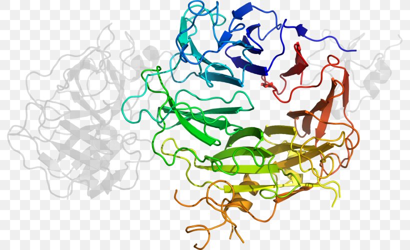 Factor VIII Haemophilia A Coagulation Recombinant DNA Factor XIII, PNG, 791x500px, Watercolor, Cartoon, Flower, Frame, Heart Download Free