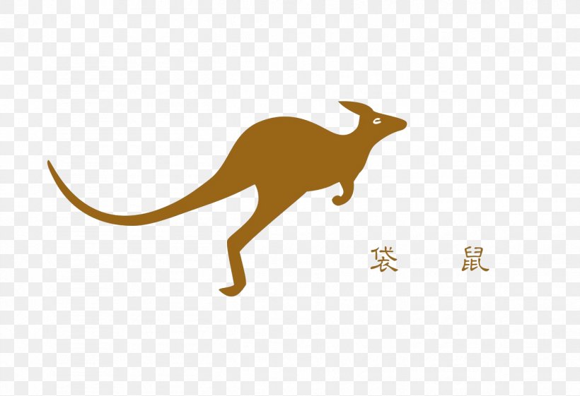 Kangaroo Macropodidae Australia Tonghe Residential District Jumping, PNG, 1349x924px, Macropodidae, Computer, Computer Software, Designer, Fauna Download Free