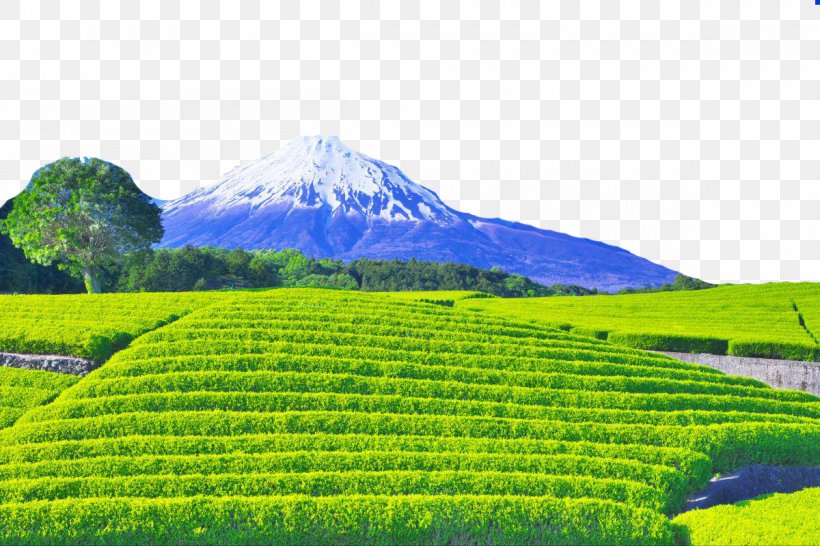 Mount Fuji Chada Photography Fukei, PNG, 1200x800px, Mount Fuji, Agriculture, Camera, Chada, Crop Download Free