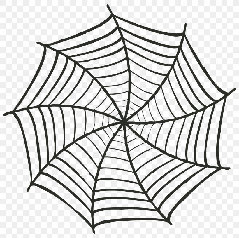Spider Web Vector Graphics Royalty-free Image, PNG, 1005x999px, Spider, Area, Black And White, Drawing, Leaf Download Free
