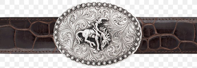 Belt Buckles Silver Coin, PNG, 1000x349px, Belt Buckles, Belt, Belt Buckle, Brand, Buckle Download Free