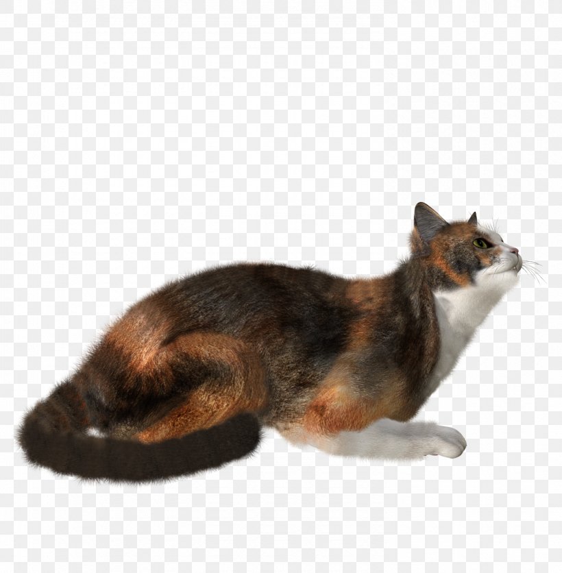 Cat Kitten Felidae Clip Art, PNG, 1490x1520px, Cat, Black Cat, Carnivoran, Cat Like Mammal, Clipping Path Download Free