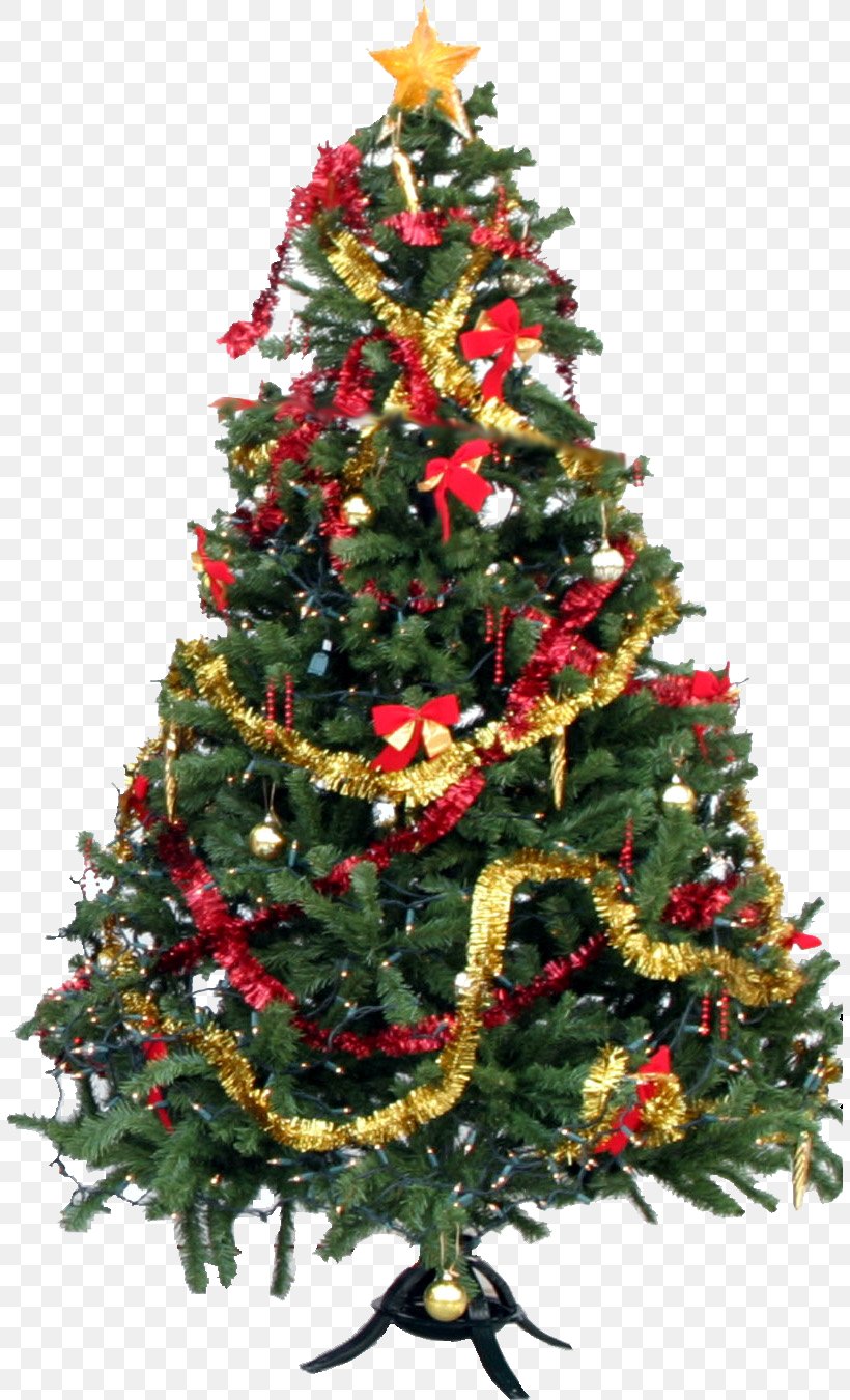 Christmas Tree, PNG, 806x1350px, Christmas, Artificial Christmas Tree, Christmas Decoration, Christmas Ornament, Christmas Tree Download Free