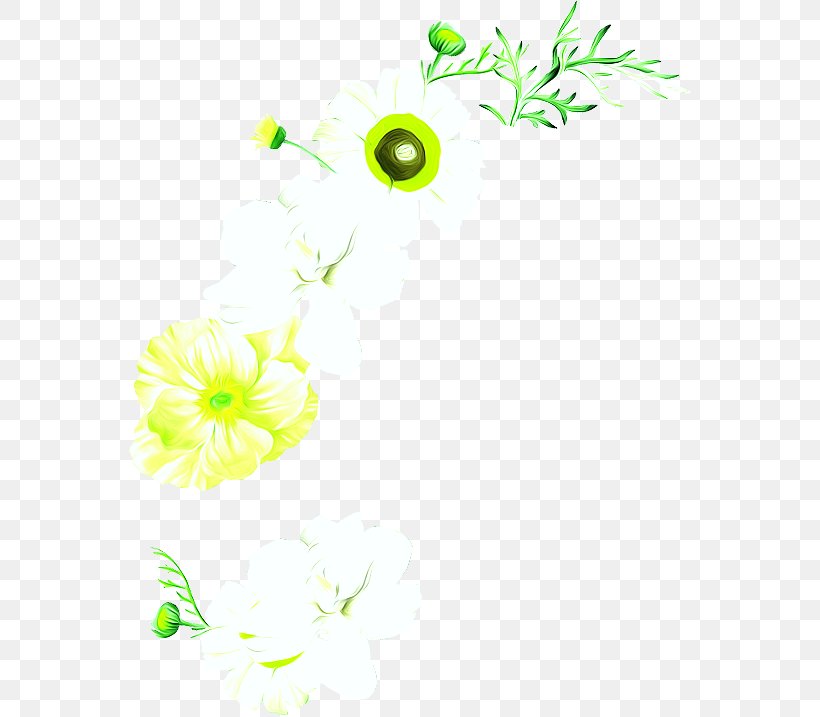 Flower, PNG, 564x717px, Flower, Area, Color, Flora, Floral Design Download Free