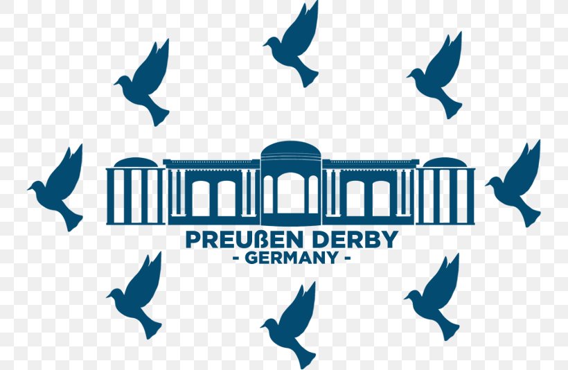 Homing Pigeon Prussia Fancy Pigeon Columbidae Derby, PNG, 800x534px, Homing Pigeon, Beak, Blue, Brand, Columbidae Download Free