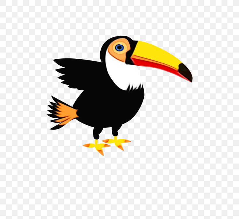 Toucan Clip Art Beak Bird Hornbill, PNG, 530x750px, Toucan, Animal, Beak, Bird, Cormorant Download Free