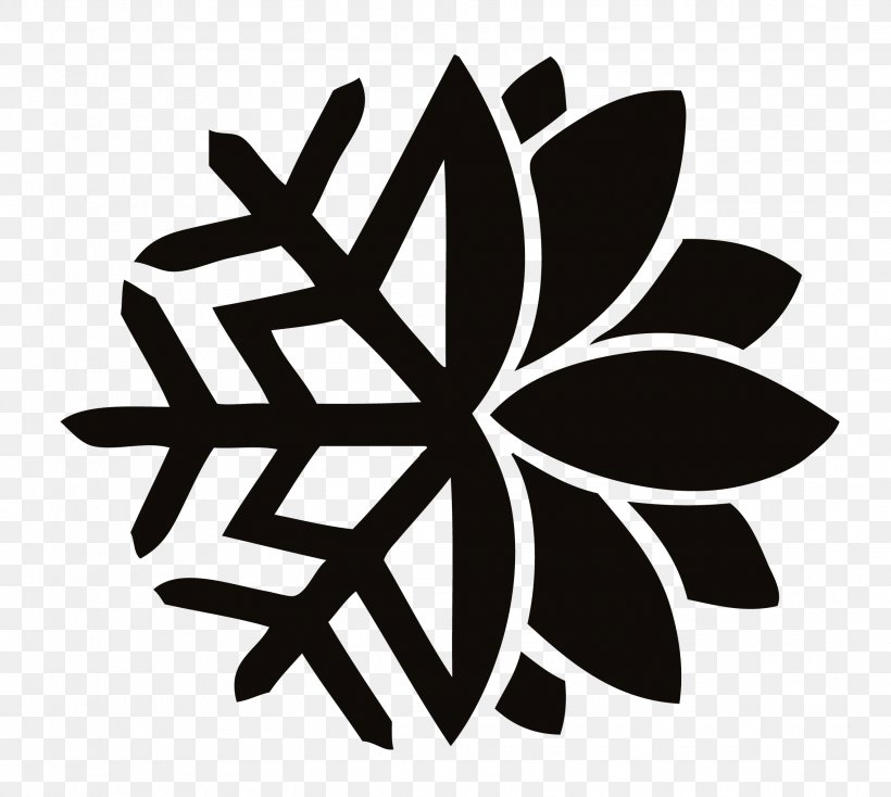 Ar Condicionado RGB Refrigeração Light Snowflake Clip Art Crystal, PNG, 2273x2037px, Light, Black And White, Crystal, Flower, Flowering Plant Download Free
