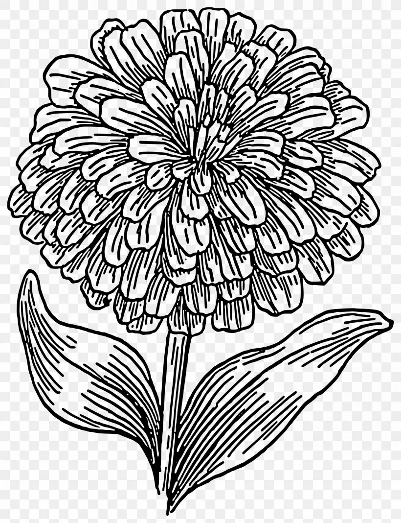 Coloring Book Drawing Zinnia Flower, PNG, 20x20px, Coloring ...