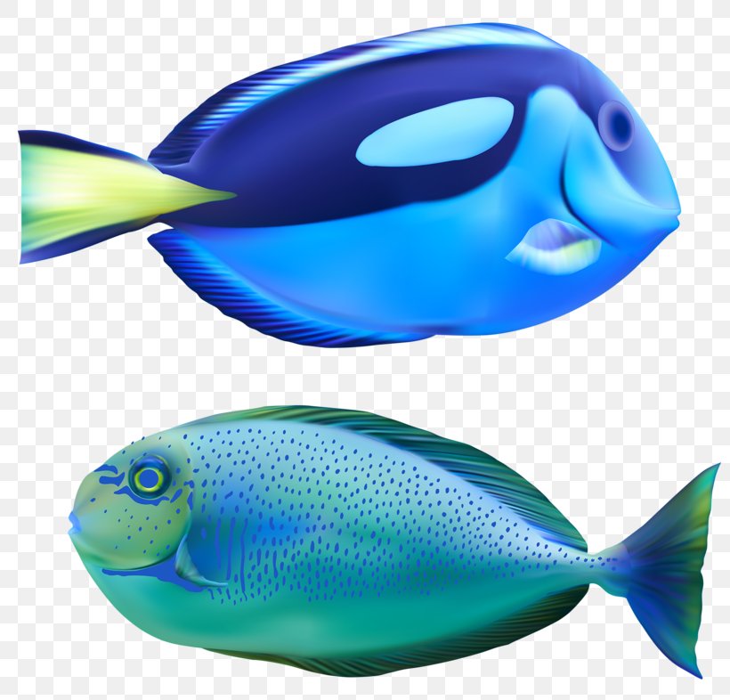 Deep Sea Fish Bony Fishes Marine Biology Deep Sea Creature, PNG, 800x786px, Deep Sea Fish, Aqua, Blue, Bony Fishes, Coral Reef Fish Download Free