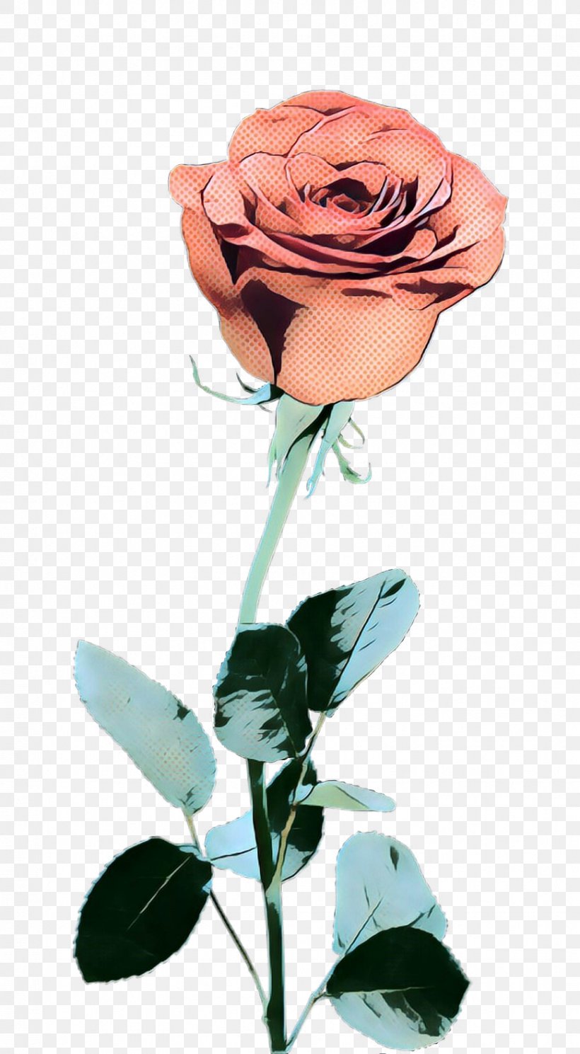 Garden Roses Cut Flowers Floral Design Illustration, PNG, 869x1578px, Garden Roses, Blue Rose, Botany, Cut Flowers, Floral Design Download Free